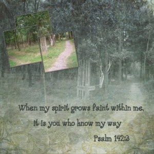 3062867691_e47343d1bb