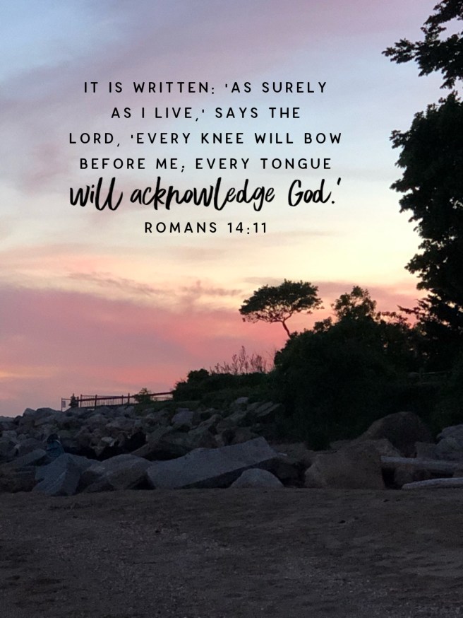 BibleLens_2019_06_11_11_11_07_9310